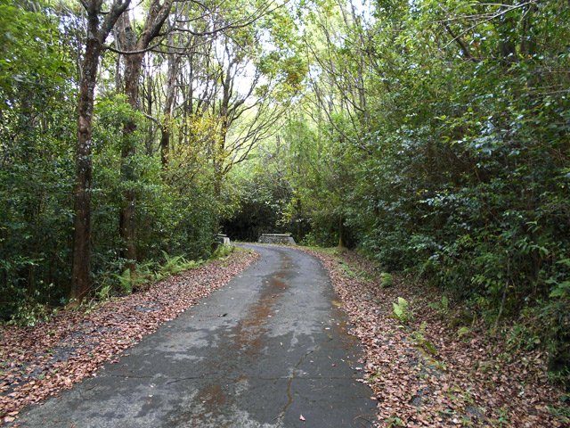 Agréable cheminement avec l'odeur du camphre