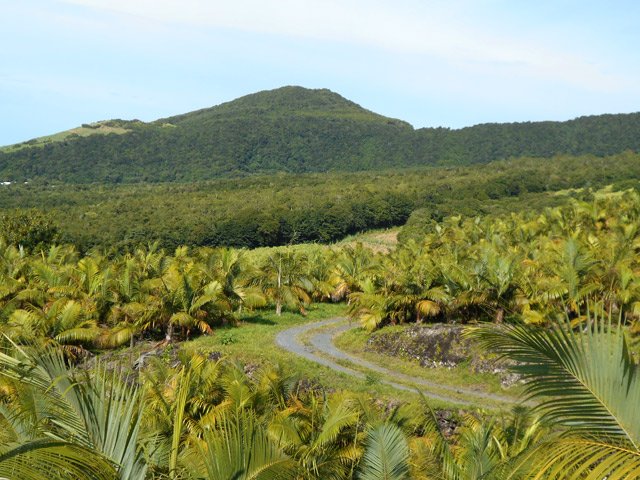 Le Piton Bernard, de l'autre côté de la vallée