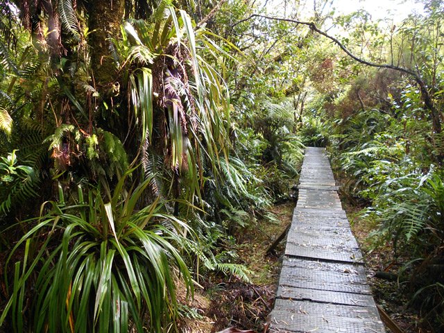 Une portion plate où la vitesse de marche est rapide