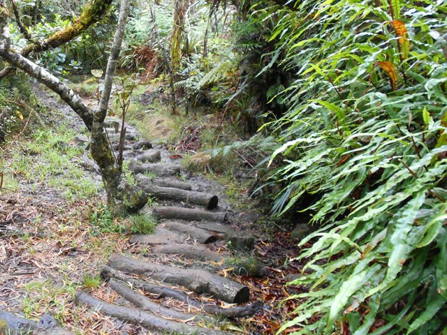 Les rondins facilitent certains passages