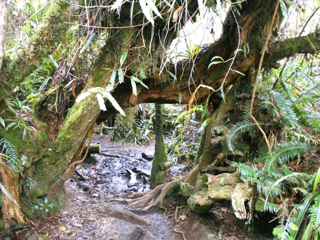 Il faut à la fois faire attention à la tête et aux pieds