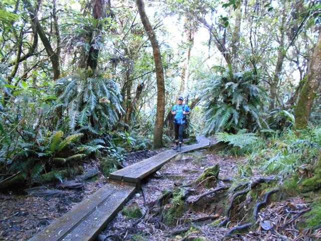 Les portions à planchers longs sont de meilleure qualité
