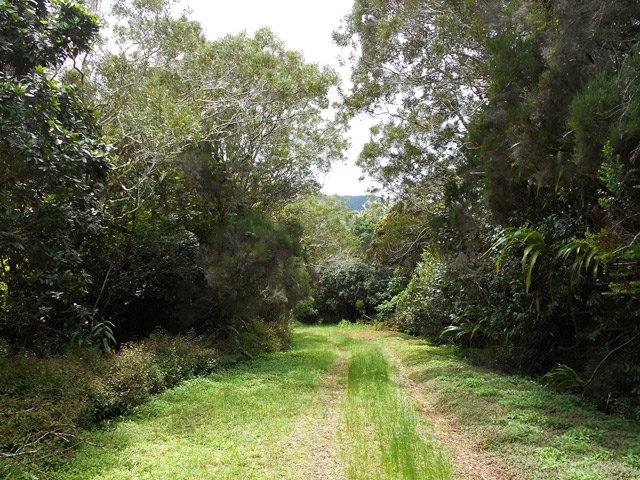 La piste de la Vierge, assez herbeuse pour nettoyer les chaussures