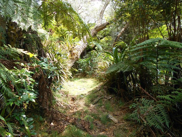 Une portion du Sentier de la Vierge