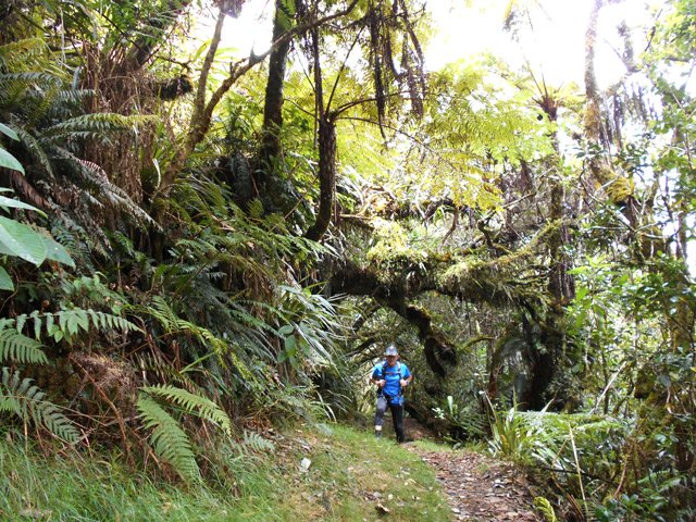 Pas de boue sur cette partie de la boucle