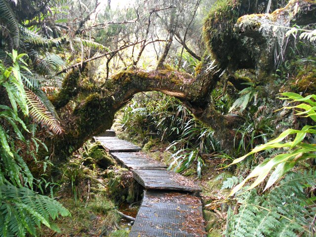 Arche suffisamment haute pour ne pas se cogner