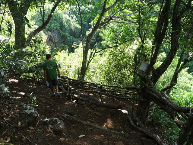 Le point de vue sur le Bassin Pigeon sous le grand natte, le patte poule et le quivi