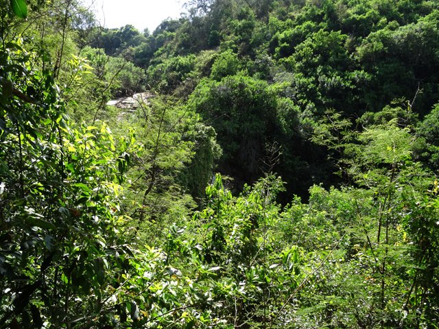 Le Bassin Pigeon à sec une grande partie de l'année