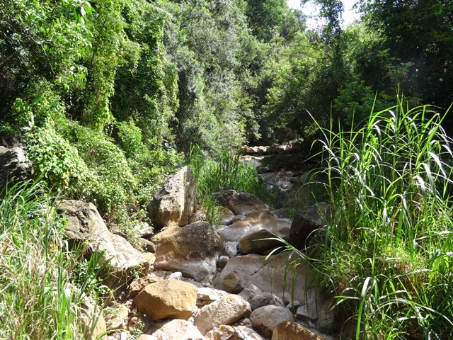 La Ravine de Petite Île peut se remonter assez facilement