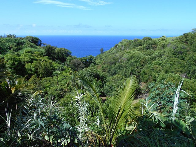 Point de vue sur l'océan avant le départ de la boucle