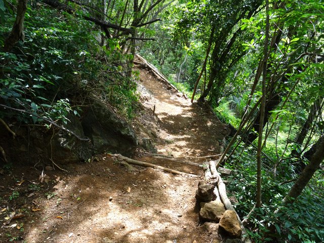 Le sentier de retour vers l'entrée du verger