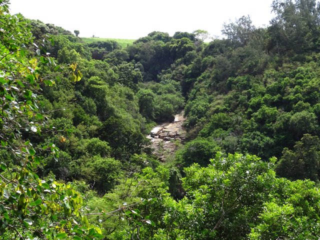 Point de vue sur la Ravine de Petite Île et sur la route bordée de canne