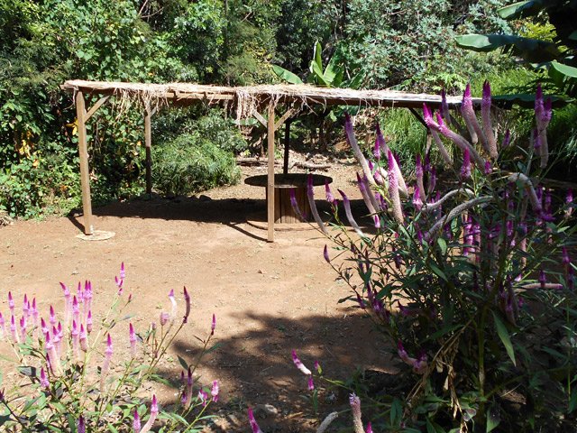 Un abri destiné à recevoir les cultures en pots avant plantation dans le verger