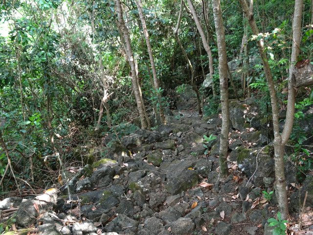 Une portion de sentier très caillouteuse