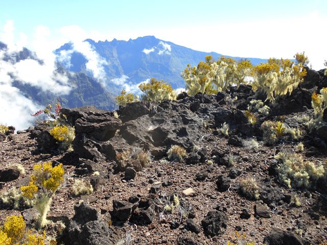 Une idée du sol en regardant le Gros Morne et le Piton des Neiges