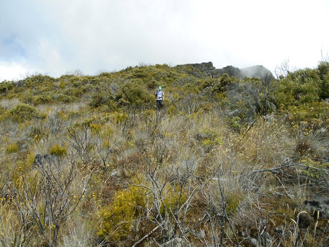 Une vraie balade dans les branles calcinés où la vie reprend lentement