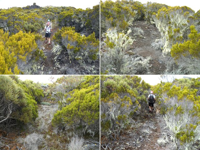 Longue portion d'un ancien sentier encore en très bon état