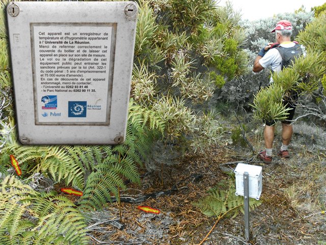 A l'enregistreur, prendre sur la gauche en contournant le jeune tamarin