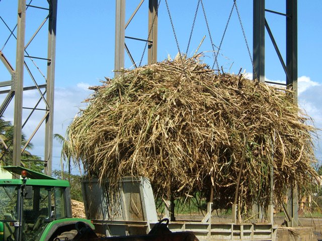 A la saison, passer un moment à étudier le circuit de la canne avant d'entamer la boucle