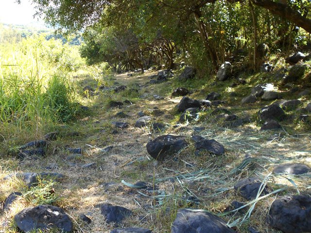 Entre route et rivière, cheminement sur les galets entourés d'herbes