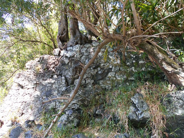 La seule partie sportive de la boucle avec une montée d' 1 m !