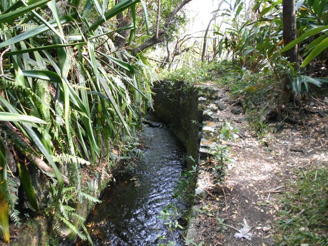 Le canal lors de la remontée vers l'amont