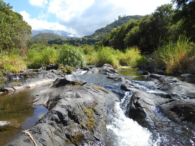 Éviter de venir le dimanche en ce lieu ludique car il n'y a plus de place pour la baignade