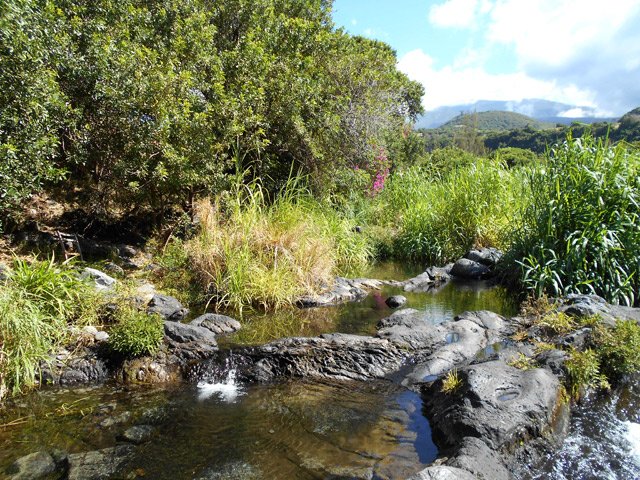 D'autres petits bassins qui conviennent très bien pour la baignade des jeunes enfants