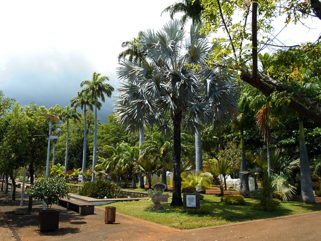 Parcourir toutes les allées du Jardin de l'Etat pour y admirer les arbres