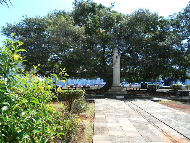 Admirer l'arbre qui fait de l'ombre au poète qui a le nez cassé