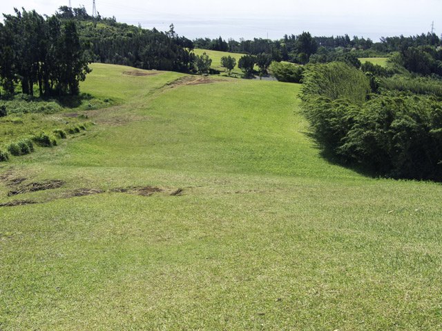 La grande prairie du Colorado entourée de bambous