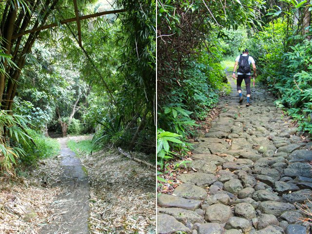 Le sentier bétonné sous les bambous et la portion pavée bien conservée