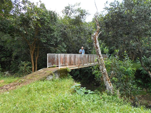 La passerelle sur la Ravine à Jacques