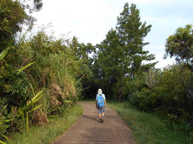 Magnifique chemin de La Grande Chaloupe en direction du Chemin des Anglais