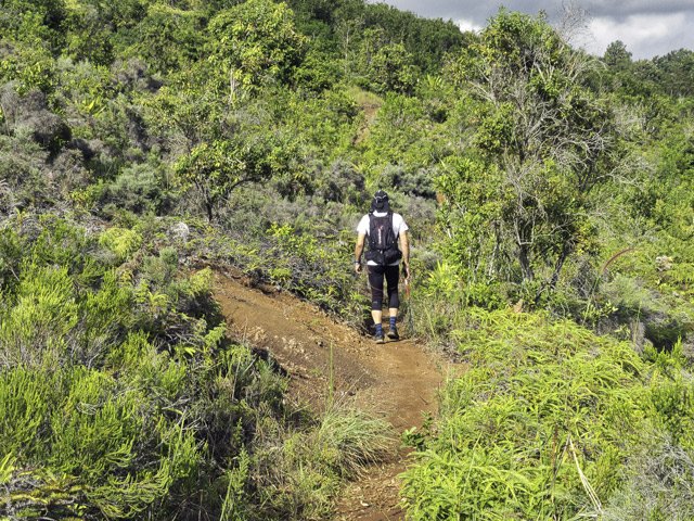 Balade dans les fougères vers les terres arides