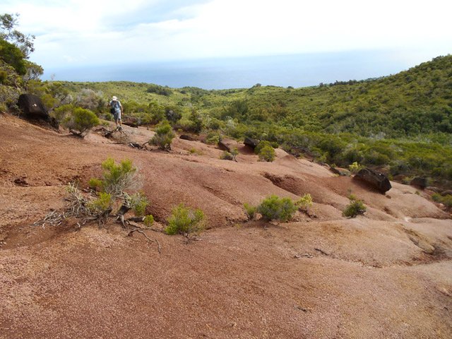On peut marcher sans danger sur ce mini désert