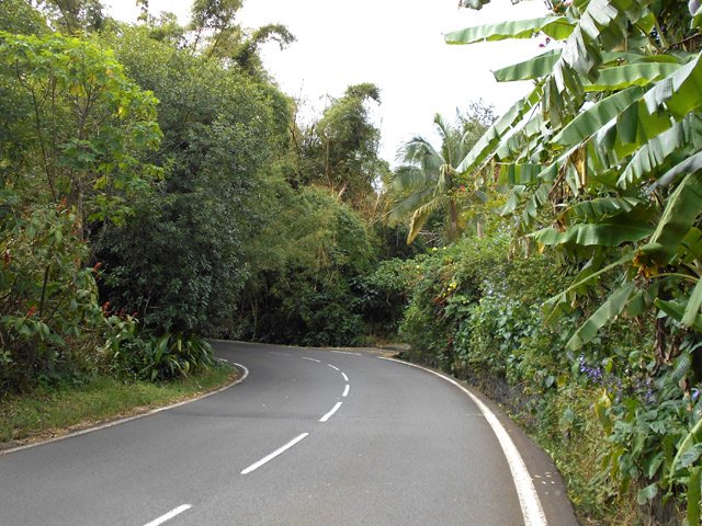 Près de 3 km de route de La Montagne mais dans une zone fleurie et boisée