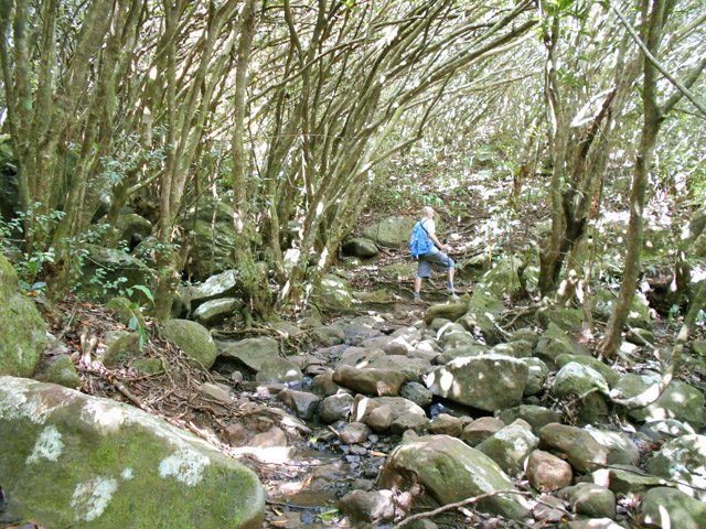 Remontée vers la Fenêtre sur un sol caillouteux