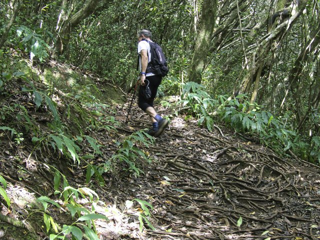 Beaucoup de racines pour rejoindre le Colorado