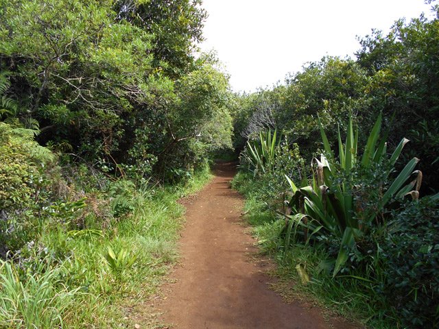 Au début, le sentier est large et propre