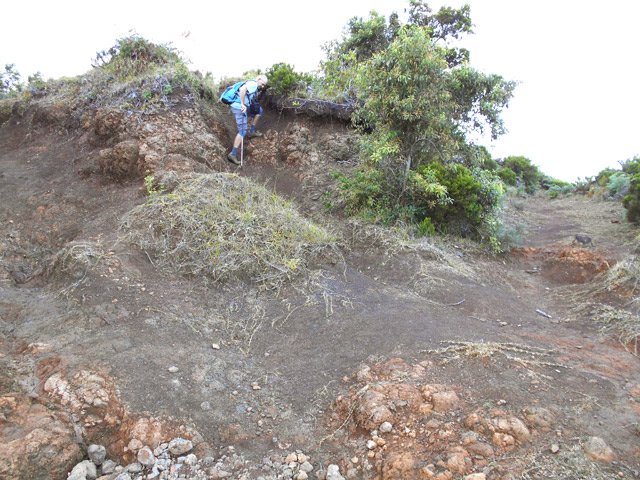 Gare aux sentiers qui se croisent ou se rencontrent un peu partout