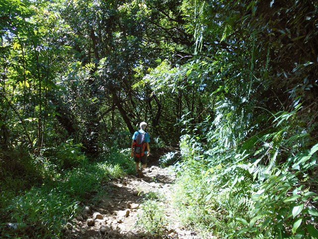 Le retour par le sentier (ancienne piste) de Camp Michel est une balade