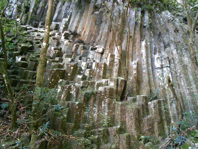 Les orgues basaltiques en rive droite de la Ravine Deshayes