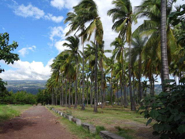 La longue piste entre le rond-point de Savannah et la passerelle métallique