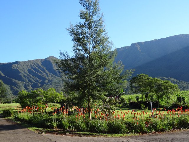 D'autres vues sur la Scierie depuis l'entrée