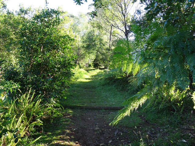 Le sentier qui longe le rempart de la Ravine de Bellevue
