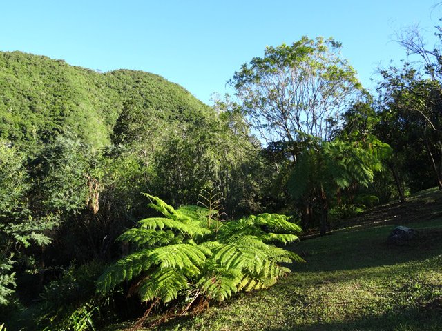 Le rempart opposé sur lequel passe le sentier de la Pièce Jeanne