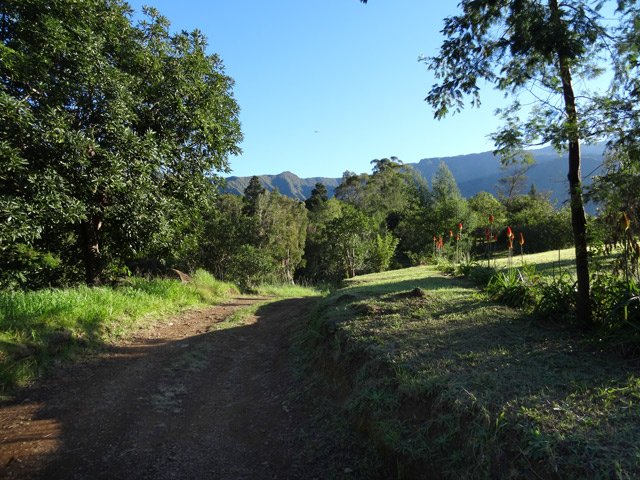 Plus bas, le sentier est remplacé par une piste