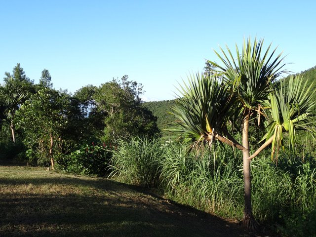 L'herbe rase pousse au plus près du rempart