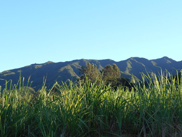 Lever de soleil sur la Chaîne du Bois de Nèfles que l'on va contourner
